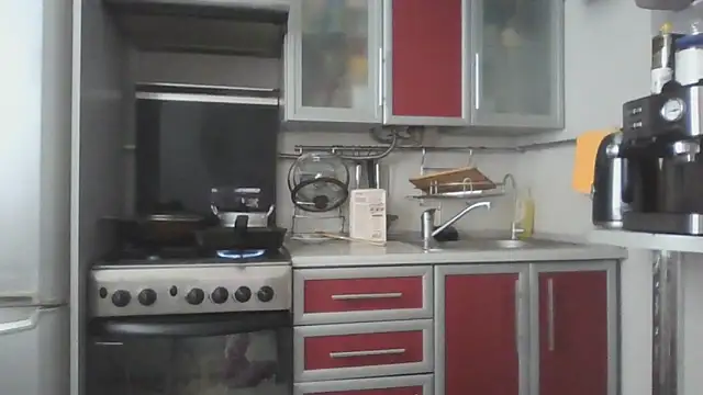 Kashtanka_ webcam