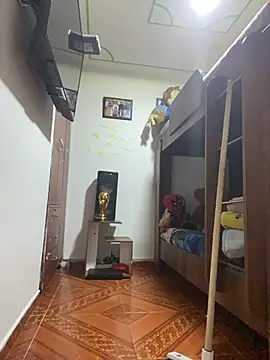 Abby-LS webcam