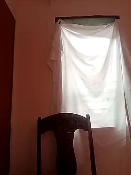 lapatronav2026 webcam