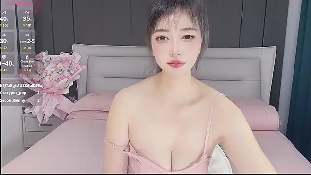 Qi33wei webcam