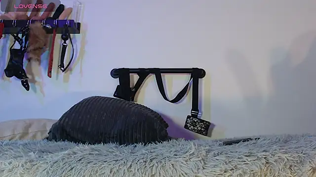 aronleblanc_ webcam