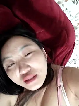 zhen-zo webcam