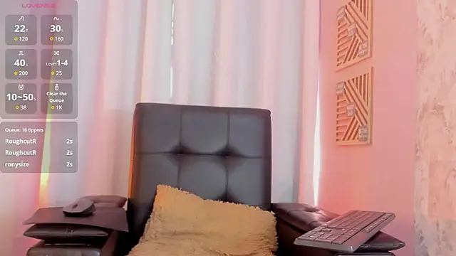 Jaadewest webcam