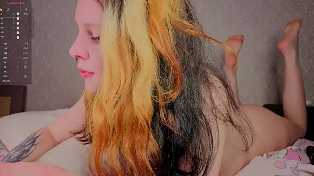 Hi_Kitti webcam