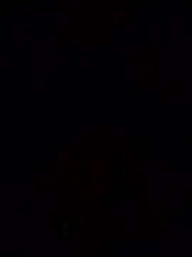 tkstanu webcam