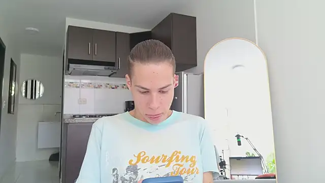grey___27 webcam