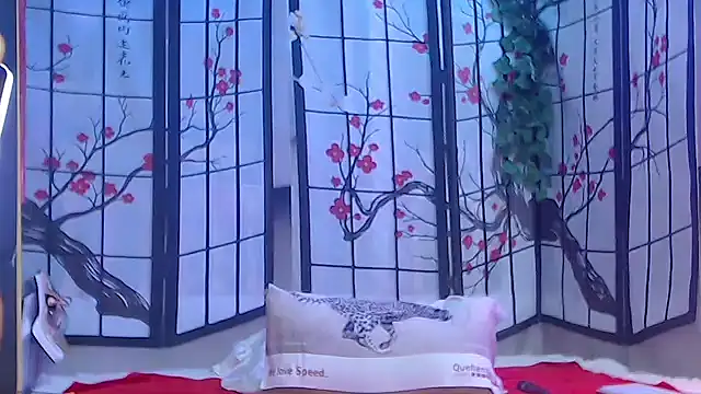 NightOrhideya webcam