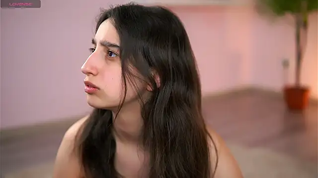 JullyFox webcam