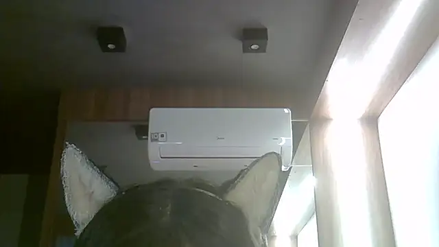 SkinnyKitten webcam