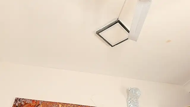 lisa_fisher_ webcam