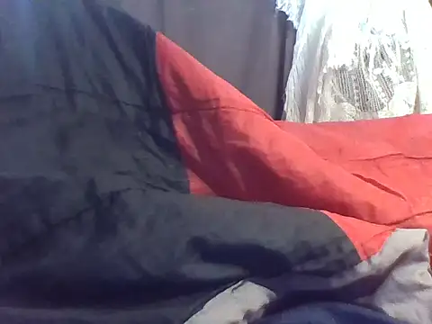 serreyy webcam