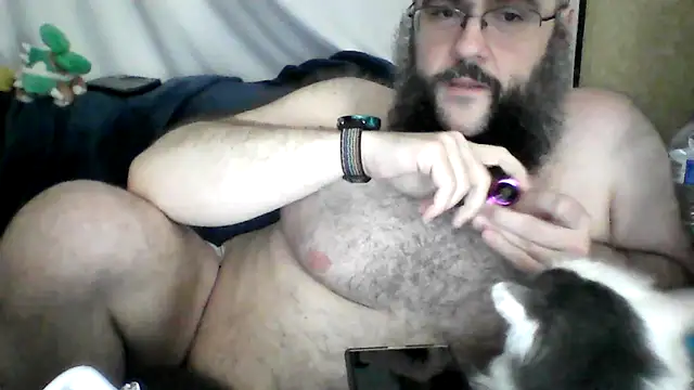 BriTheTopBear webcam
