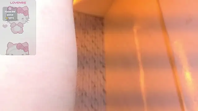 Kitty_fox_b webcam