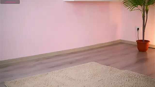 JullyFox webcam