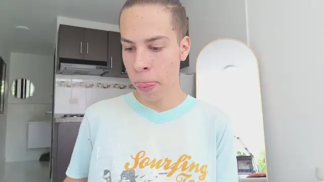 grey___27 webcam