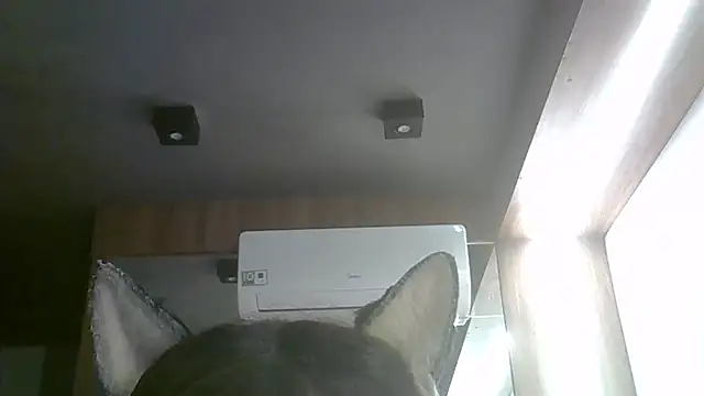 SkinnyKitten webcam
