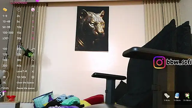virtual_charm webcam