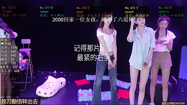 SG-0310 webcam