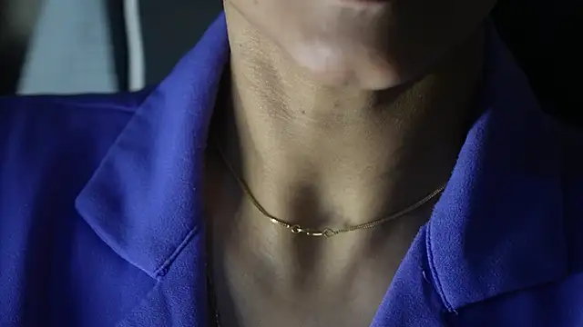 -AyeshaSinghania- webcam
