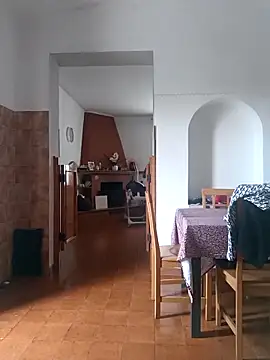 mettiu29 webcam