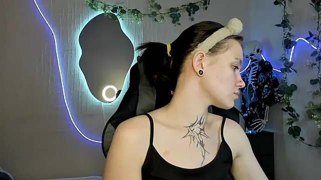 Elastikisss webcam