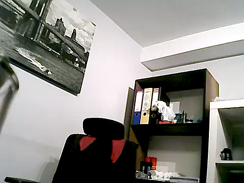 mastercharisma35 webcam