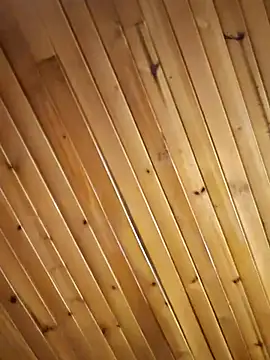 Neve_Collins webcam