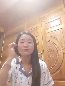 Td3di webcam