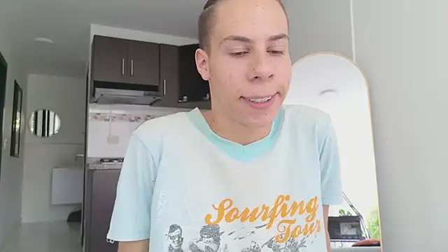 grey___27 webcam