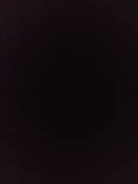 Alcon347 webcam