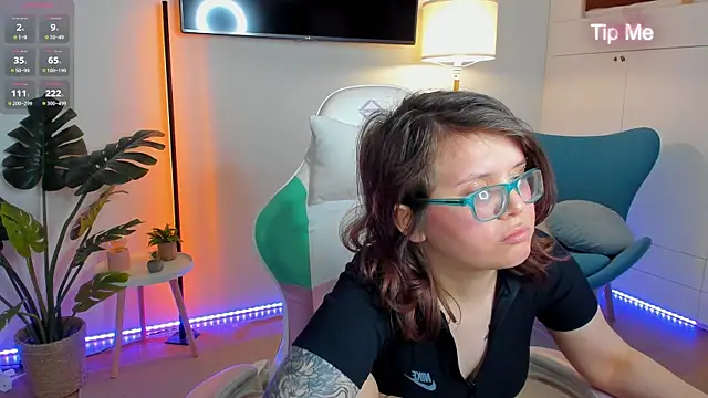 Ariell_Mini webcam
