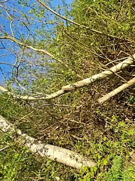 LydiaMaus96 webcam