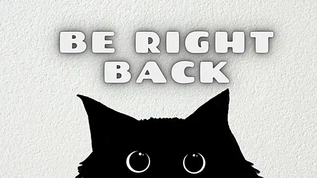 Raycatt1 webcam