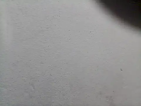 lorraine2036 webcam