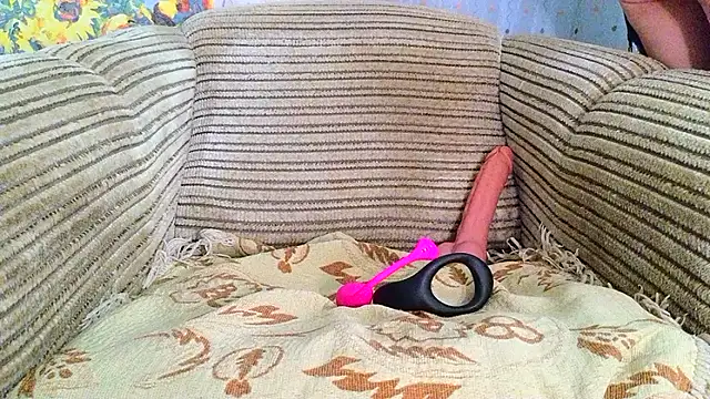 SHARP299 webcam