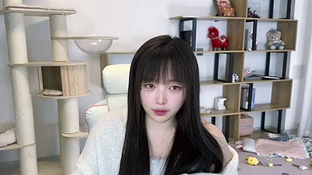 SakuraCat6 webcam