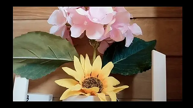 vickvalencia2 webcam