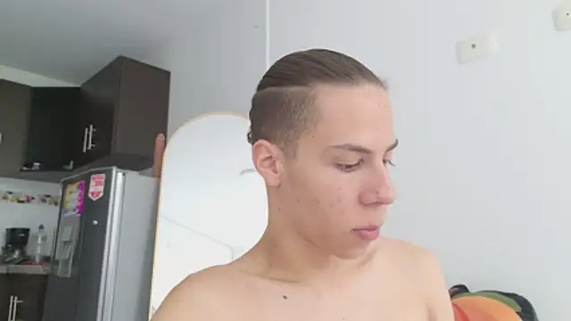 grey___27 webcam