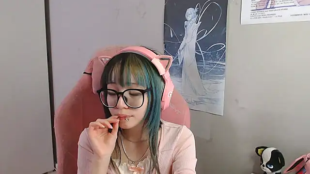 SaxonDibs webcam