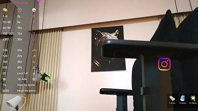 virtual_charm webcam