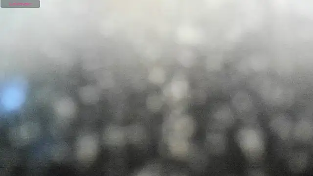 Izelevans webcam