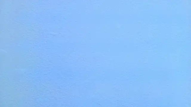 NikolCruz webcam