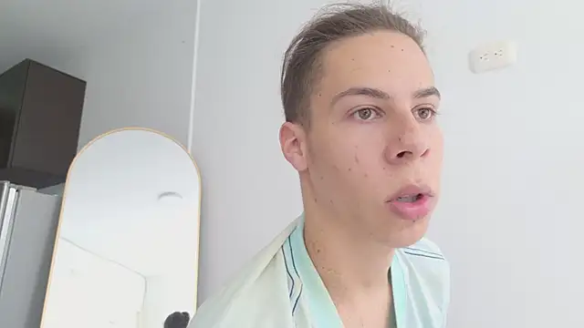 grey___27 webcam