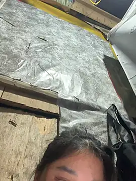 Linbi135 webcam