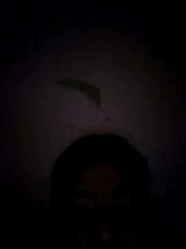 darkboyee webcam