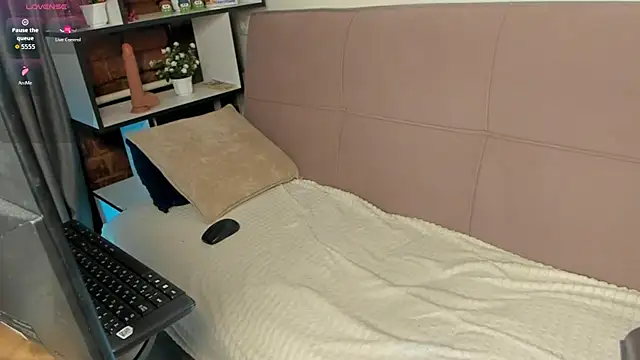 Shadow_blink webcam