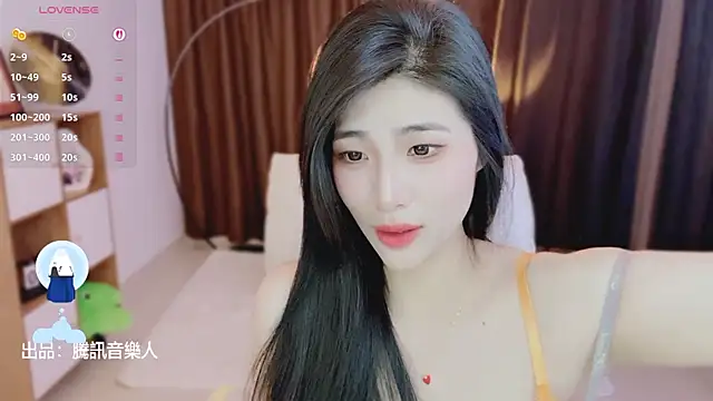 Vaidurya-Yolo webcam
