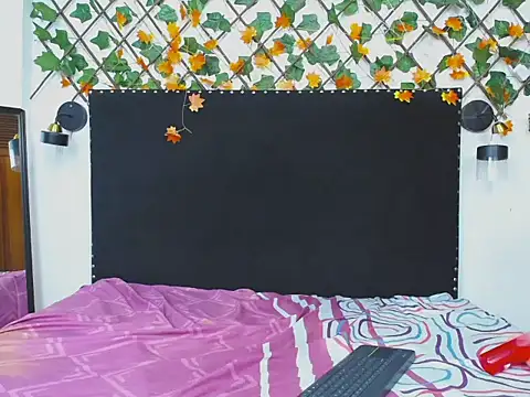 vparisper webcam