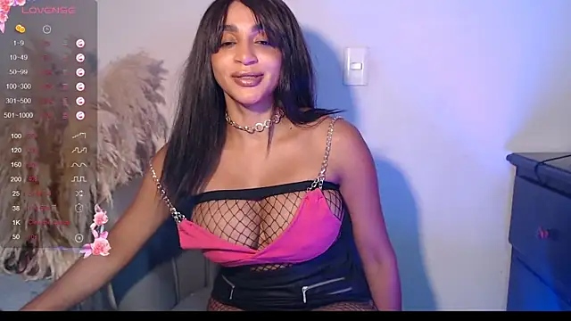 destinne_mill_ webcam
