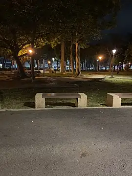 Foxfoxfox4 webcam